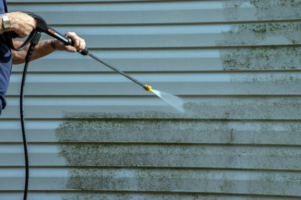 Best Gutter Cleaning  in Union Springs, NY